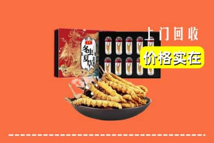 三明市将乐回收冬虫夏草